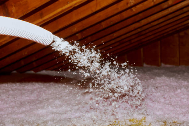 Trusted Mount Plymouth, FL Insulation Contractor Experts