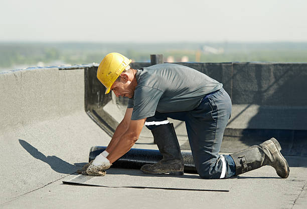 Best Spray Foam Insulation in Mount Plymouth, FL
