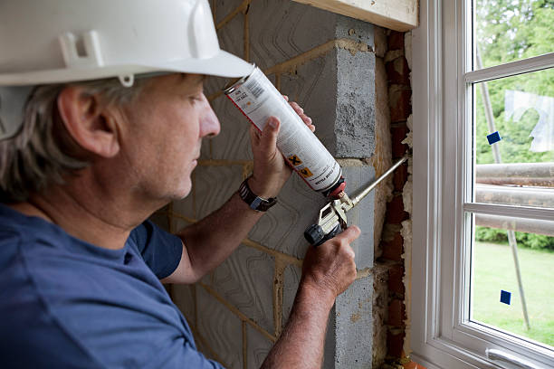 Best Blown-in Insulation in Mount Plymouth, FL