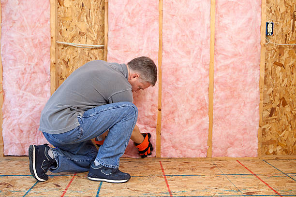 Best Fiberglass Insulation in Mount Plymouth, FL