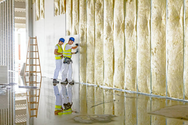 Best Specialized Insulation Services in Mount Plymouth, FL